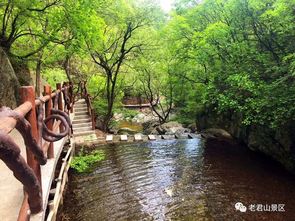 老君山景区：春风十里，不及相遇有你！