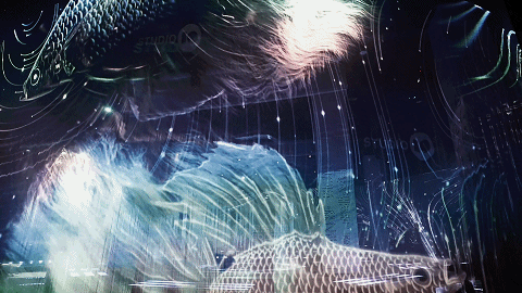 zi.gif