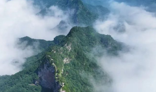 五一出发神农山！踏青趣野！好玩又出片！