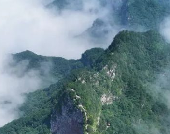 打折！神农山五一「双向折扣」太顶了，这波稳赚不亏！