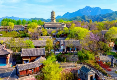 父亲节特惠 | 陪父亲游王屋山，共度快乐时光