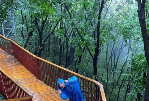 登封摘星楼：遁入翠色，邂逅夏日的林溪秘境