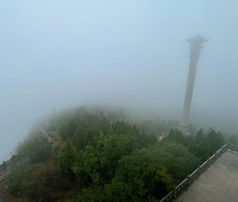 雨后云梦|在森林的呼吸里，来邂逅一场夏日诗篇