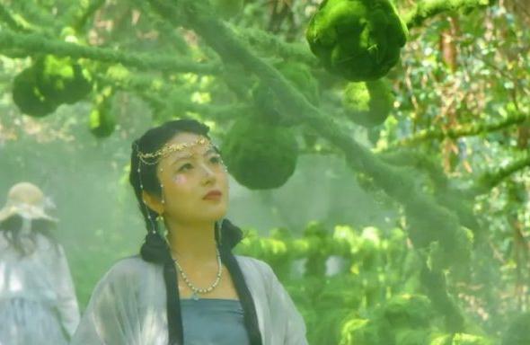 神农山景区「绿野仙踪」全新上线！许你一个清凉又出片的盛夏！