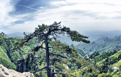 【25℃的清凉尧山，加长版避暑攻略】—— 把尧山整座“森林空调房”打包给你！