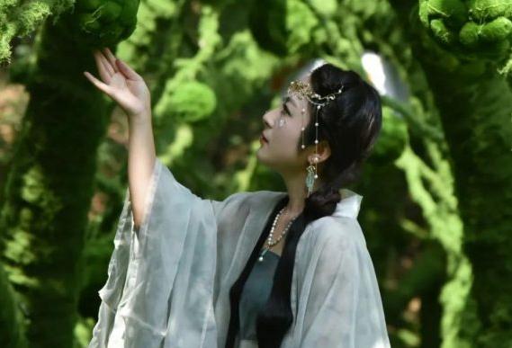 神农山惊现绿野仙踪，沉浸式穿越童话！