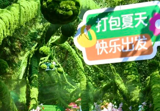 多萝西被“龙卷风”吹来神农山啦！现实版童话正在这里上演！