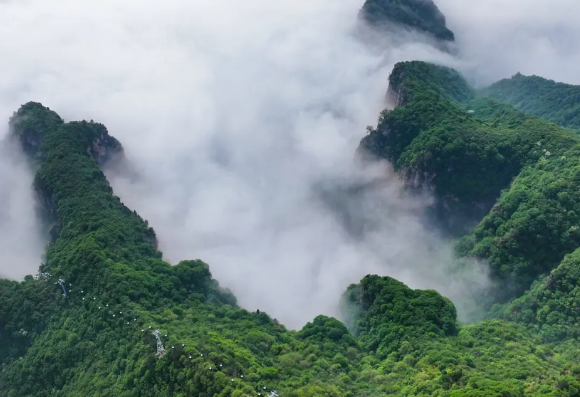免票最后一周！神农山云海盛景等你！
