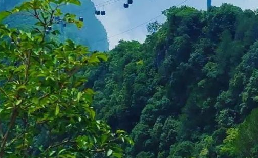 七夕限定——特惠票价+精彩活动+神农山美景！邂逅专属你们的浪漫
