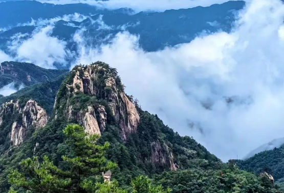 夏末的尧山 | 山色未老，清风正好