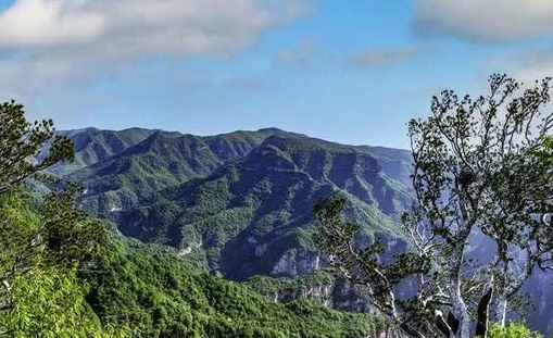 明日免票！致敬抗战胜利80周年，登神农山赴一场盛世之约！