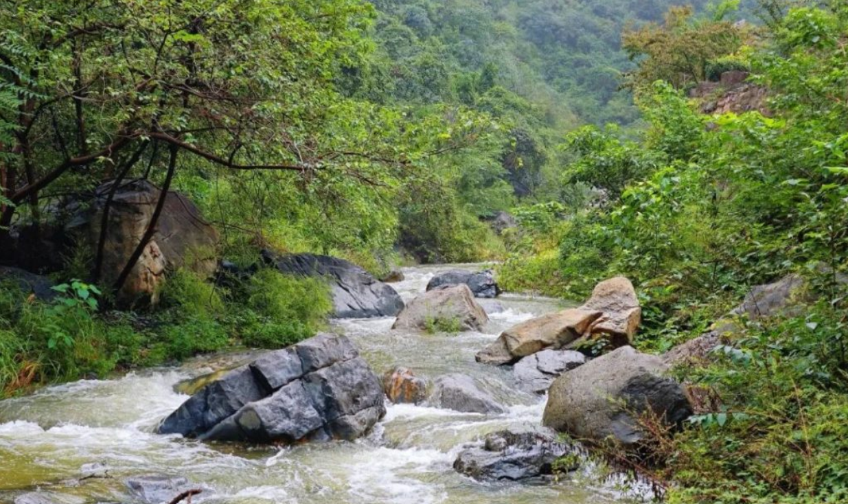 水水水！神农山流水潺潺！迎来丰水期！