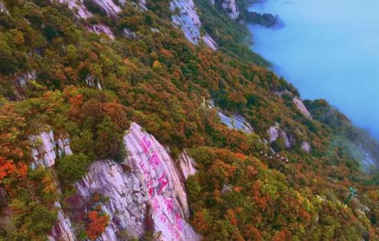 【重磅福利】五朵山景区免费重游邀请函：山巅之约，等您赴会！