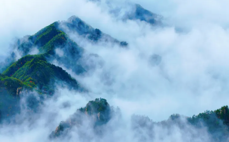 老君山云海+秋色=王炸组合