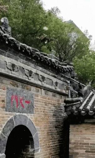 惊！神农山飘雪了！今年初雪来得比往年早太多！