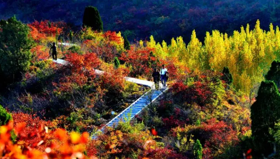 红叶漫山，游船破浪，荆紫仙山秋色全开！