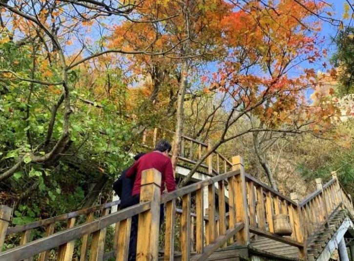 九九重阳,登高敬老丨今日老君山秋色正好,孝心正浓~