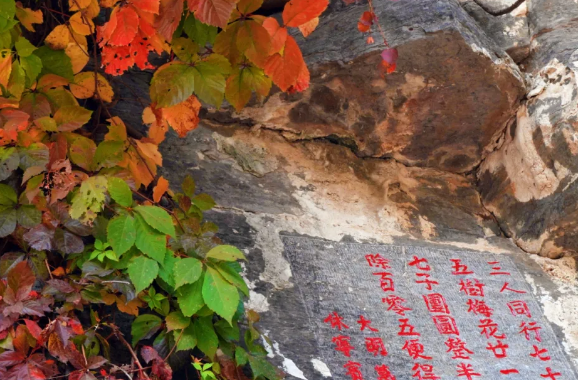 登高揽秋意,重阳佳节,来云梦山赴一场暖心之约!