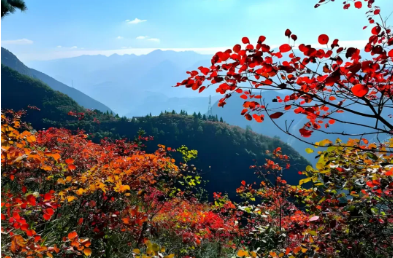 晋城人速看!珏山秋天搞大事了!机甲登山、大圣降妖还能听交响,错过等一年!