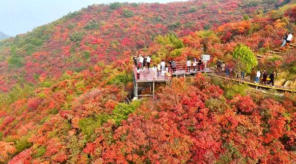 来长寿山赏红叶｜把整个秋天装进镜头里