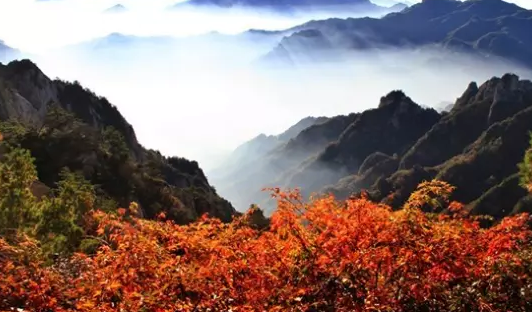 深秋限定!老君山红叶打卡地图,解锁4处神仙机位