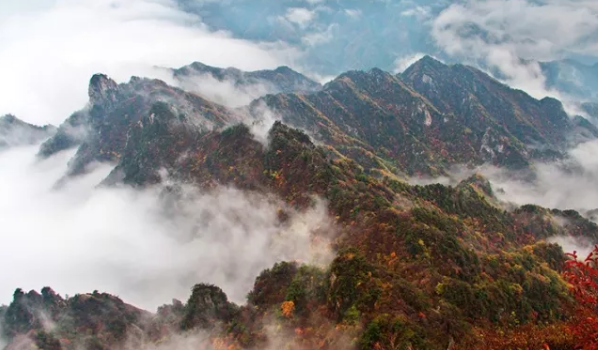 云海深处，老君山的秋冬在“说”悄悄话