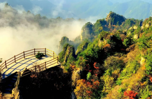 秋色不等人丨老君山的限定版“醉”美画卷，再不来就真的错过了！