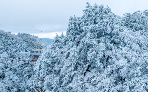风携冬信至，雪落尧山成诗