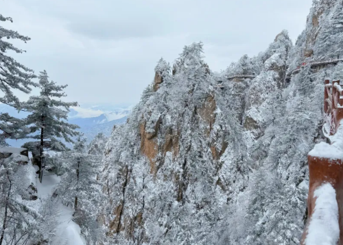 速报！老君山一夜白头，银装素裹披冬装