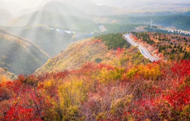 再获殊荣！云梦山景区上榜河南“绝美红叶地”榜单！