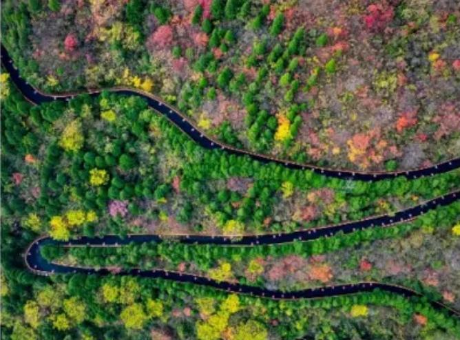 神农山风景区｜游客心声：别爬！这座山能“医”你的精神内耗！