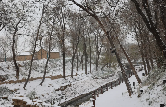 雪落陈家沟:这份冬日浪漫,只等你来签收