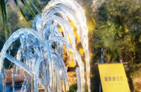 【全国免票!】2026元旦锁定五朵山,冰挂琼枝+云海雪景,赴一场冬日仙境之约