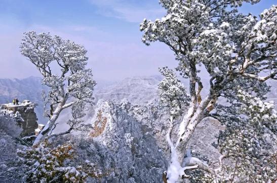 收藏！2026神农山最新优惠政策全汇总，省钱游太行就看这篇！