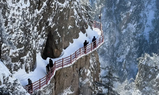一月老君山|雪落半山,诗意恰好