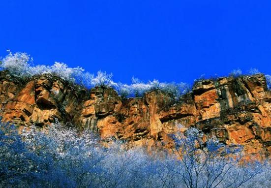 本周神农山暖阳正好！湛蓝天空下的冬日盛景不容错过！