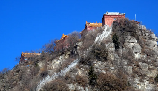 震惊！太行深处竟有 “活态本草全书”，来神农山开启四季本草之旅！