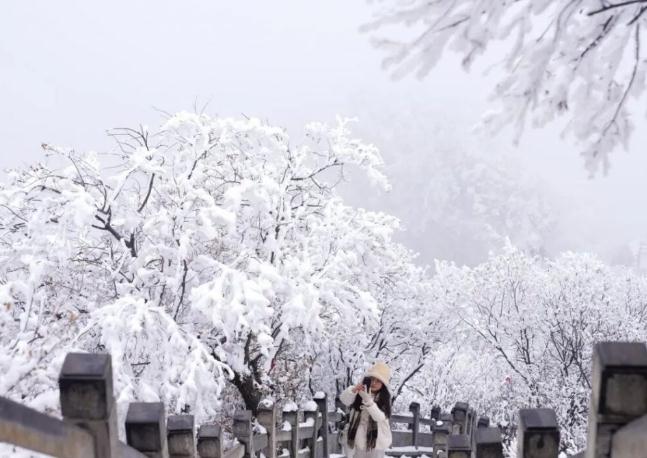 【开园公告】雪霁山明，神农山仙境启封待君来！