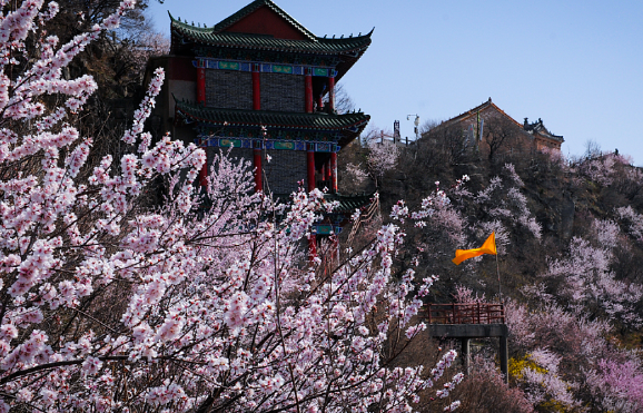 倒计时5天!神农山年卡福利即将截止,错过再等一年!