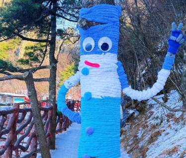 寒潮暴击?老君山的大树先“穿”上了毛衣!