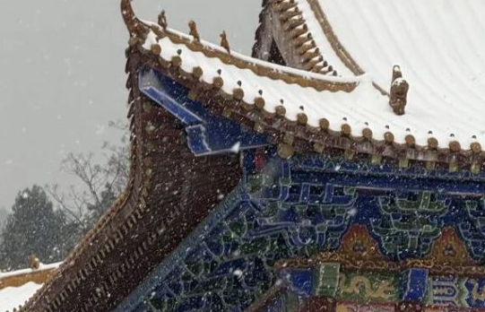 美哭!神农山此刻雪落枝头,千树万树梨花开!