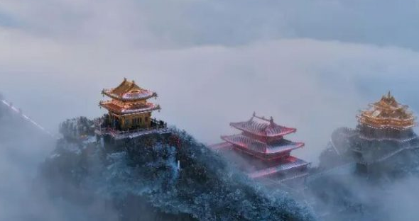 女神专属福利！3月7日至8日，老君山对您免门票开放！