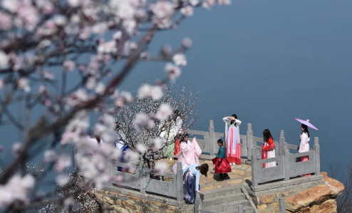 风起黄河·桃醉仙山‖3月7日荆紫仙山第十二届桃花节即将浪漫启幕！