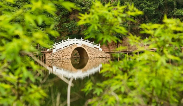 三八妇女节 | 免票入园+专属住宿福利，在愚公故里王屋山解锁春日松弛感