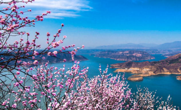 桃花开了！荆紫仙山万亩花海已进入盛放期，即刻出发！