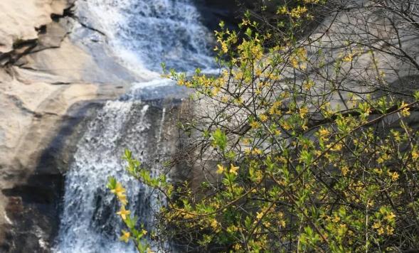 官宣！3月14日，15日七十二潭免票开放！喝烩面，吃饺子汤圆、学非遗、领福利，这场春日盛宴邀您入画！