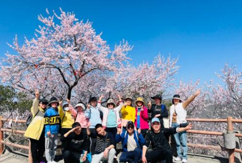 女士免票倒计时3天！神农山花已开、山已绿，三八福利末班车速冲！