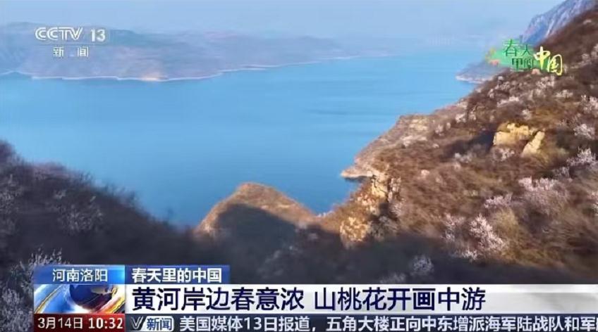 荆紫仙山桃花盛景惊艳亮相央视!春日限定浪漫,等你赴约