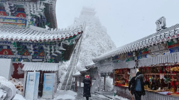 一秒回冬！老君山三月春雪，人间仙境又重来