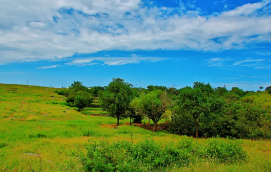 请注意！朝阳山登山挑战赛要来啦